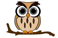 Owly Guacamole