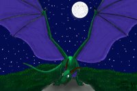Nightful Dragon