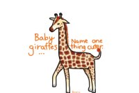 Baby giraffe drawing for a friend