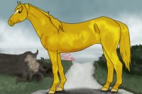 Sleek Desert Horse