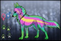 The colorful wolf