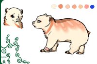 Wombat: lovey