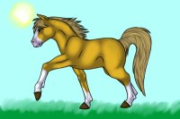 3rd Entry - Palomino Horse