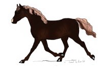 Flaxen Chestnut Rocky Mountain Horse