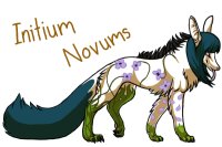 Le Entry Initium Novums