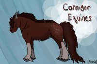 || Corniger Equine Adopts ||