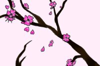 Cherry blossom tree
