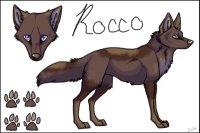 Reference sheet for Rocco!
