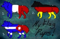 Reference for my flag pups!