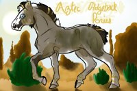 Aztec Rideback Ponies