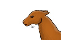 Random Llama