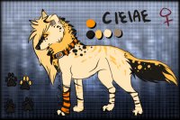 cielae - new character