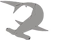simple hammerhead shark