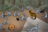 Warrior cats collab