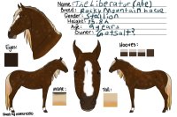 Horse Character #1