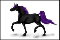Black and Purple Unicorn