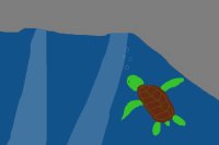 Turtle in a cave