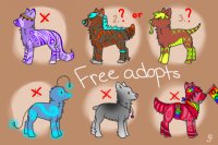 Free Adopts!