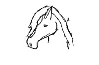 Horse Sketch. c;