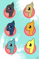 Multiple Pony Headshot