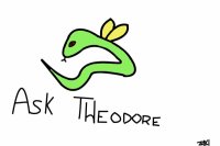 Ask Theodore