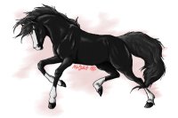 This is What My Dream Horse Would Look Like