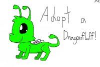 Adopt a Dragonfluff!