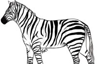Zebra Lineart - Request