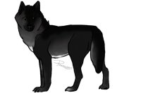 Wolf design