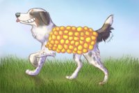 Corn dog
