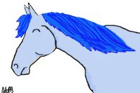 Blue Colored In Horse