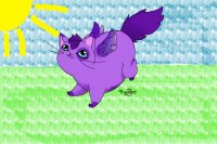 Purple Kitteh