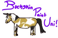 Buckskin Paint Uni!