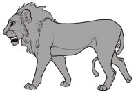 LION [colour-in]