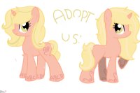 weekly adoptable pony twins!