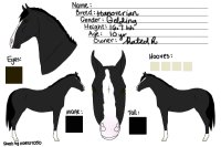 my dream horse <3