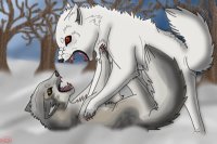 Ghost and Nymeria