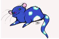 Drawing of someones rat