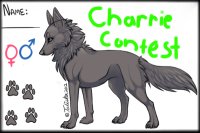 Rider4Life's charrie contest-Winner