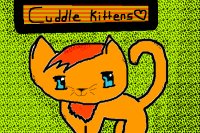 ♥♥Cuddle Kittens~ Adopt one today ♥♥