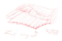 Le wing