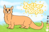 Butter Adopts