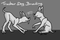 Tracker Dog Breeding