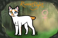 My Cat, Russetlight