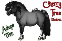 CTS: Blue Roan Mare with Edits.