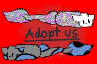 Adopt us(: