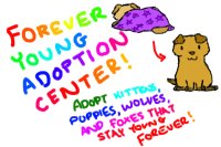 Forever Young Adoption Center~Where kittens stay kittens!