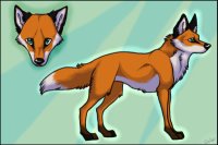 Fox Character Ref