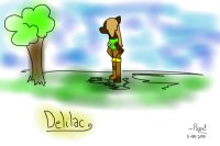 Delilac for Koowie 2