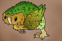 Kakapo by Sassafras Troubadour 1